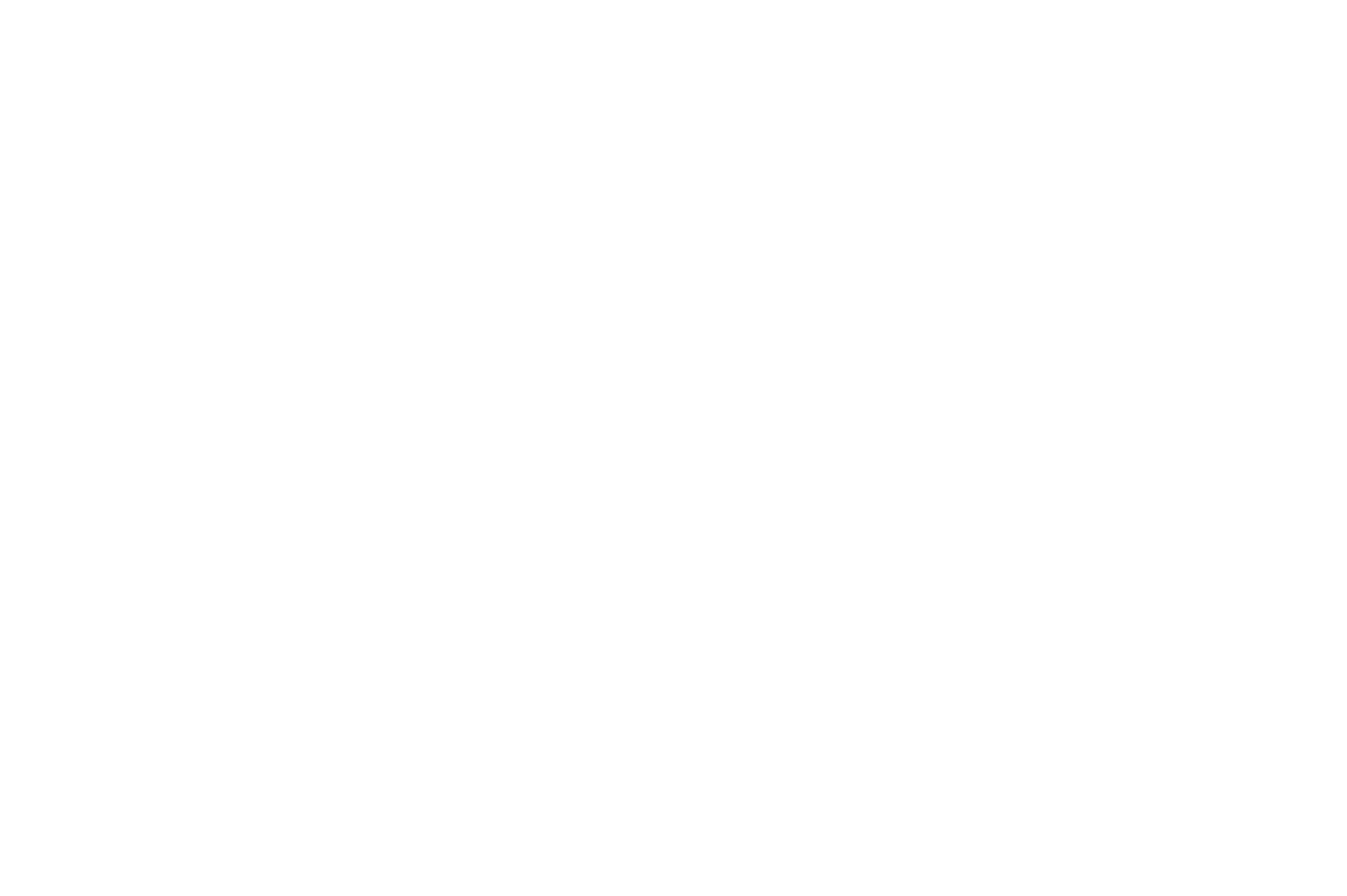 The Elite Living Group